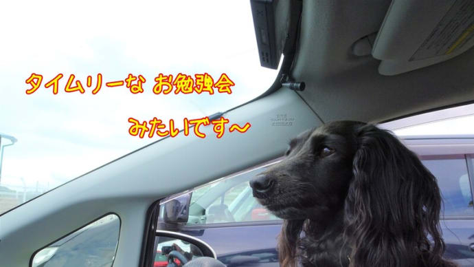 タイムリーな講習会