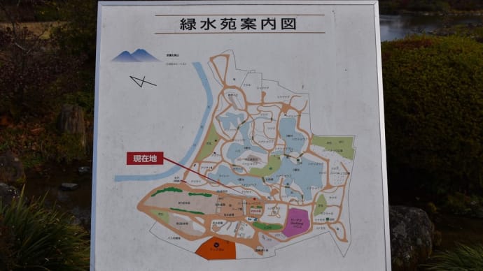 もみじ狩り 福島県郡山市喜久田 緑水苑(2)日本庭園