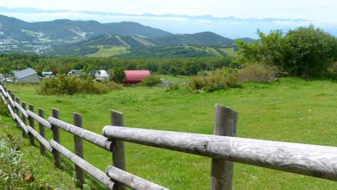 秋の菅平高原･･･根子岳登山道あたりを歩き･･･オニアザミに逢う