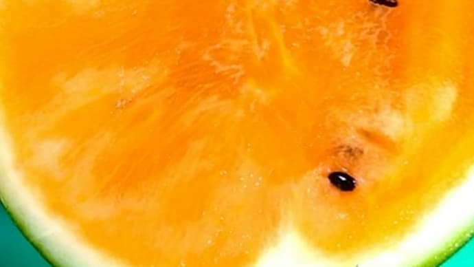 サマーオレンジ