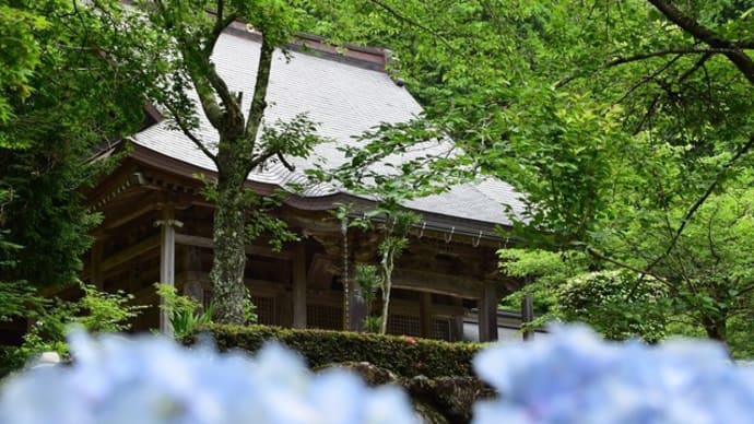 あじさい咲く・・・石道寺