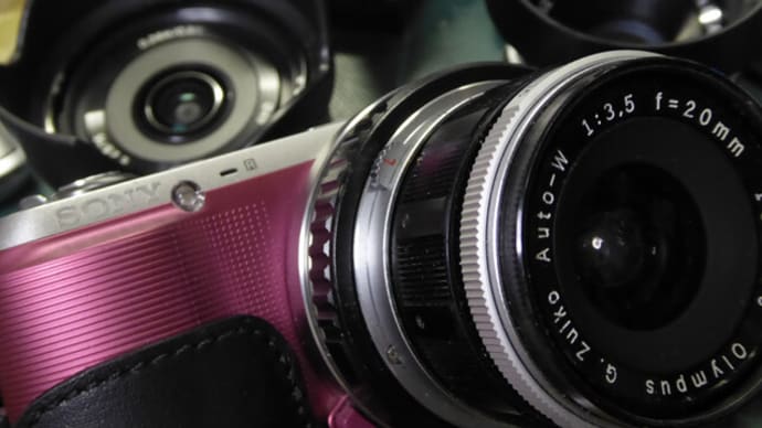 G.Zuiko Auto-W 1:3.5 20mm