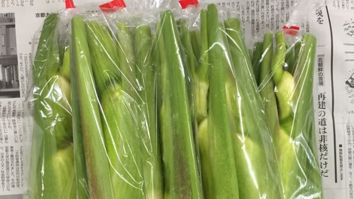 マコモダケ