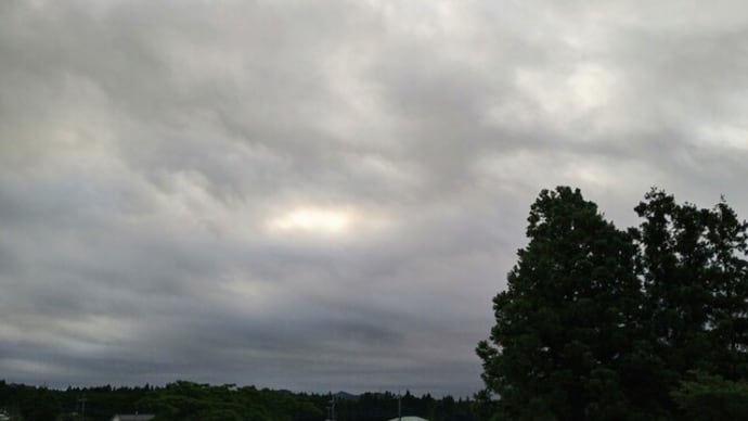 鷺の空