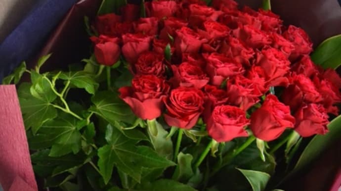 深紅のバラ４０本のお花束