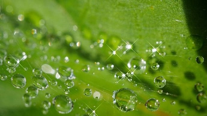 煌めく水滴の銀河