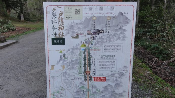 戸隠神社の参道を歩く
