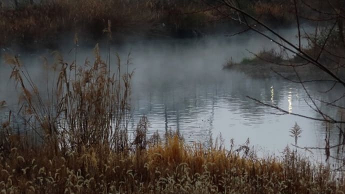 池の蒸気霧