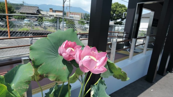 JR和歌山線 大和二見駅