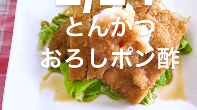 令和6年2月24日の日替わりは、とんかつ おろしポン酢です