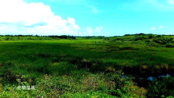 07/14旅日記-2:宮古島への旅3日目-④(池間湿原、)