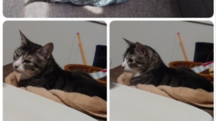 何度もチラ見(笑)