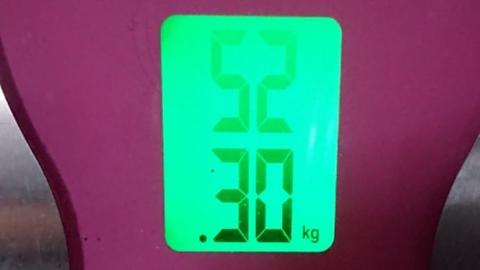 ダイエット172日目
