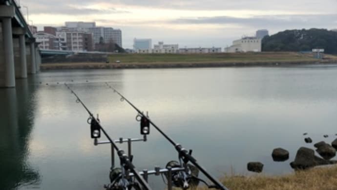 1月16日の鯉釣り