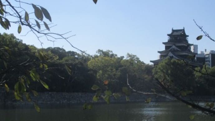 広島護国神社さんに参拝に行ってきました・・・11月・霜月 今年もあと2か月 時がたつのは早いものですね