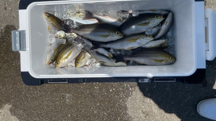25日・釣果