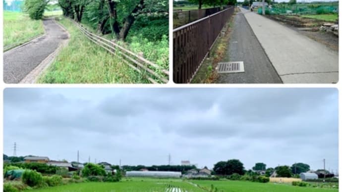 今日のサイクリング