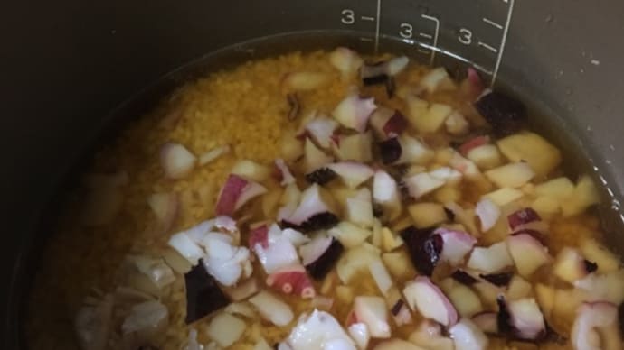 タコご飯