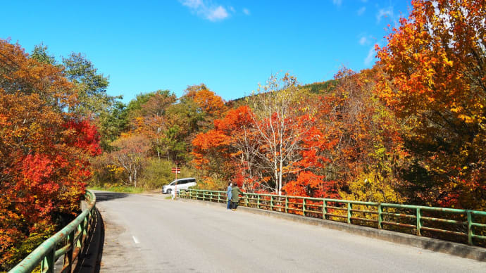 鮮やかすぎてカメラが壊れそう!(紅葉の裏磐梯方面へ)
