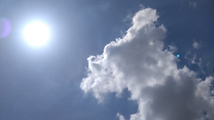 木陰はちょっとひんやりしてて気持ち良い〜だけど陽射し強い