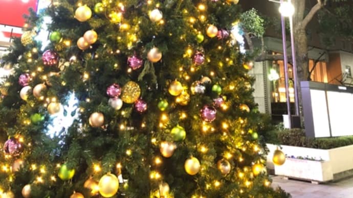 12月です