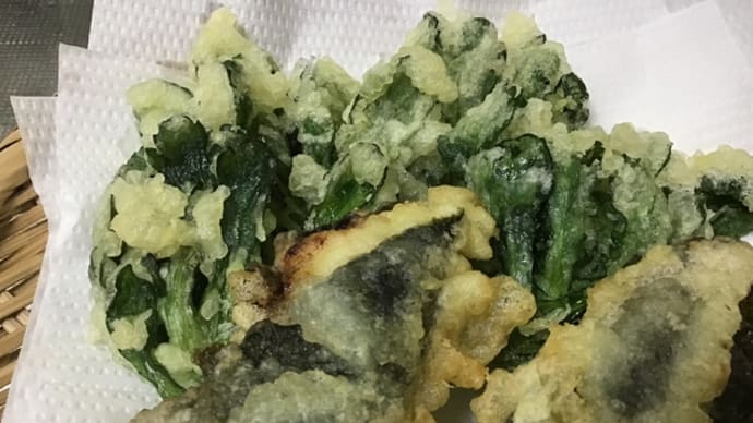 お散歩の疲れが出た〜!