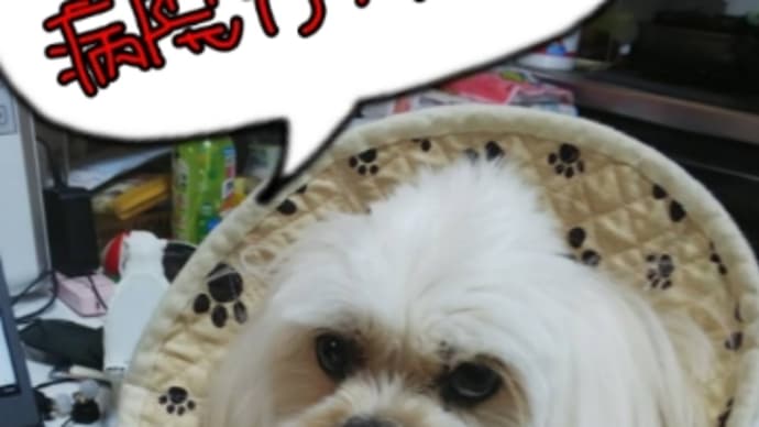 困ったちゃん…