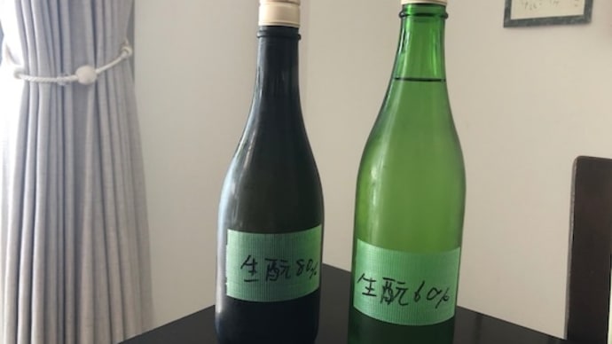 とんび君、ありがとう！飛鳥井と誕生日ステーキ