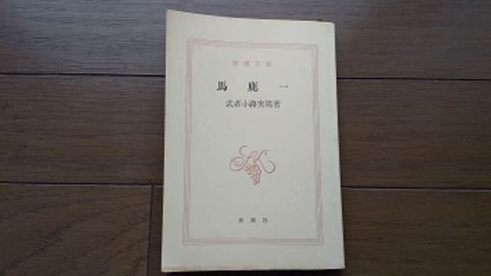 武者小路実篤「馬鹿一」を読み返します