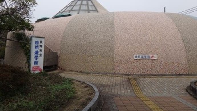 海辺の博物館で自然と戯れた1