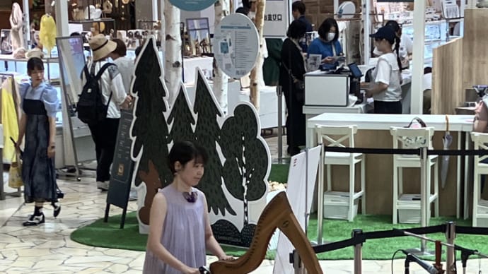 シャナヒー&アンニコル、今年も北欧フェアに出演