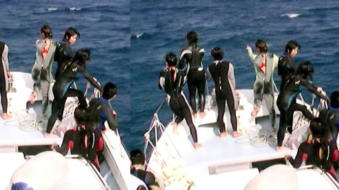 沖縄2006 ダイビング その19