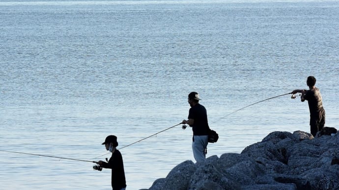 千葉フォルニアと袖ヶ浦海浜公園