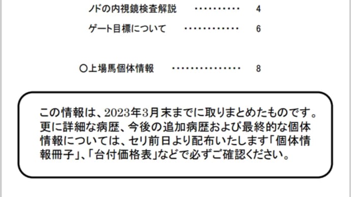 【2023 JRAブリーズアップセール(2歳)】の「常歩動画」と「個体情報冊子(早期開示版)」が公開