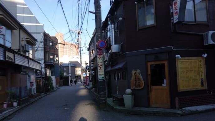 散歩写真 22/12/23