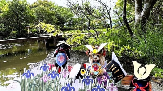 子どもの日 🎏 おてんばNOIR♪