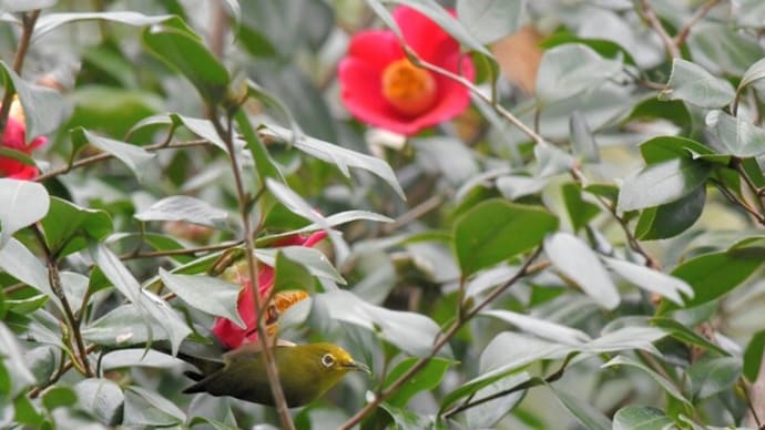 地元公園
