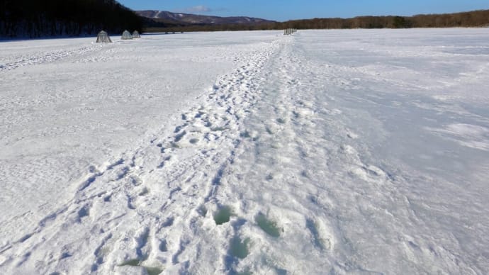氷上散策・じゅんさい沼2024