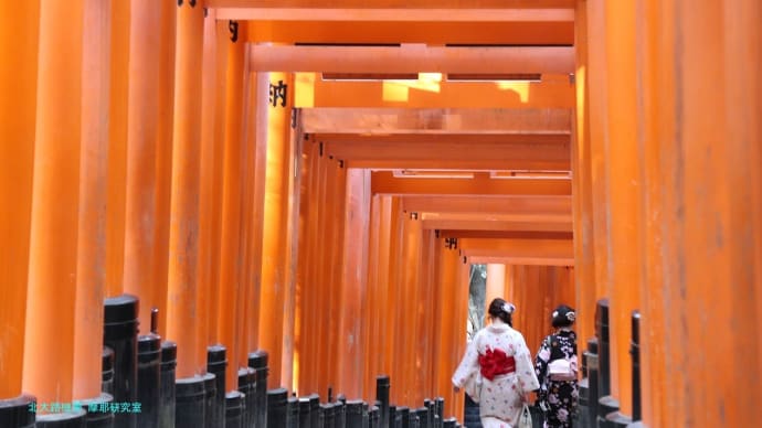 【京都幕間旅情】伏見稲荷大社,大神と農耕-わんだふるぷりきゅあ!ニホンオオカミと雑種犬の関係