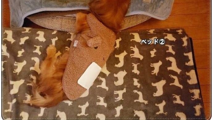 戦いは続く
