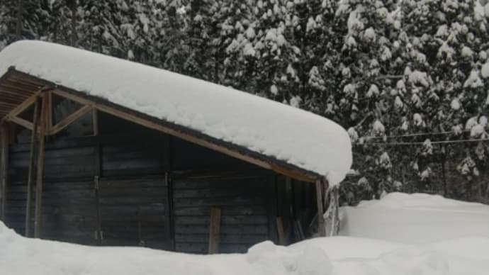 2023/01/28 大雪
