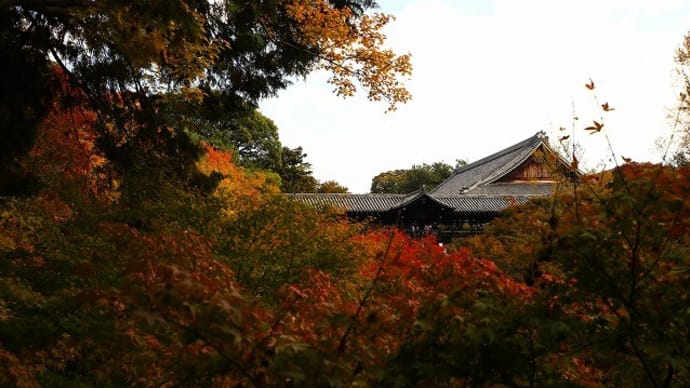 京都 東福寺参拝 2024年11月19日