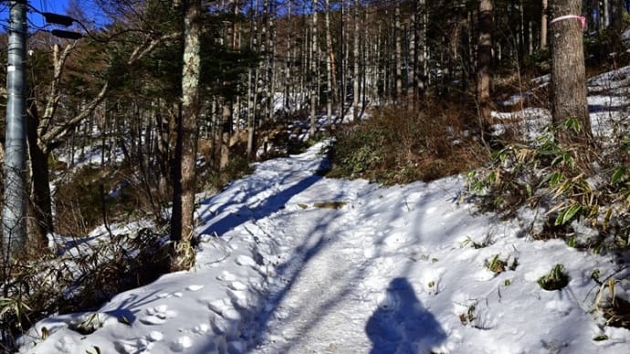 入笠山へ