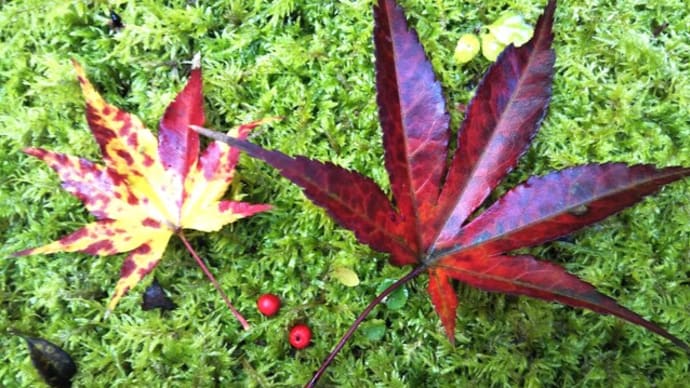 【茶房いなだ】2023年12月の予定☆彡大晦日まで営業中☆彡