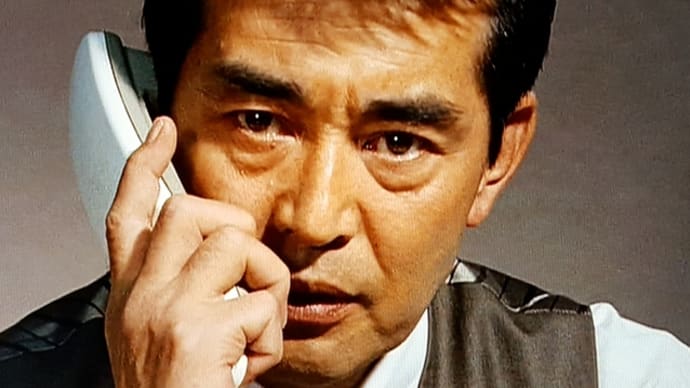 『ゴリラ/警視庁捜査第8班』最終回