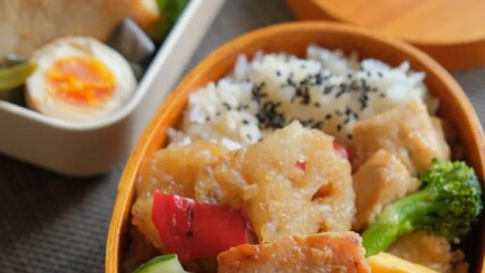 今日のお弁当・シュウマイ・チヂミ