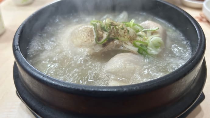 韓国に来たニダ