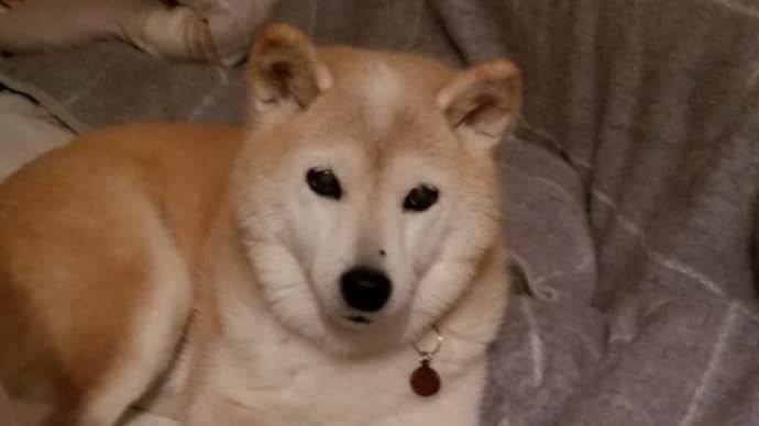 今日で14才9ヶ月