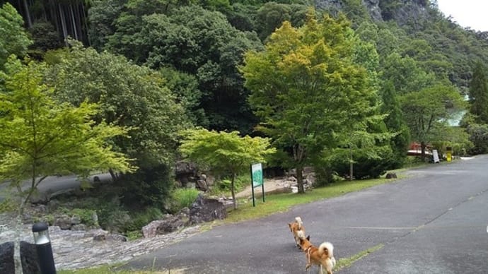 今年の夏休みは御杖から。ヒル事件編