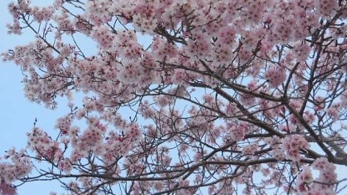 33、江戸の粋・浪花の不粋